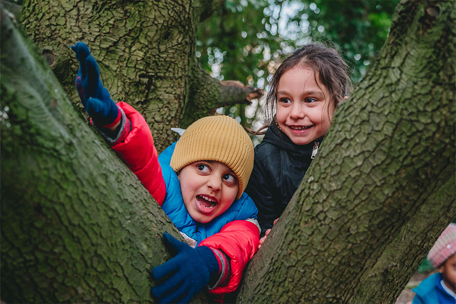 forest schools